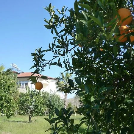 Malikane Residence,6 Bed Detached * أورتاجا