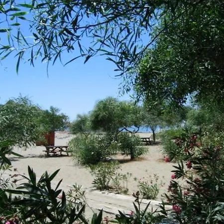 Malikane Residence,6 Bed Detached * Ортаджа