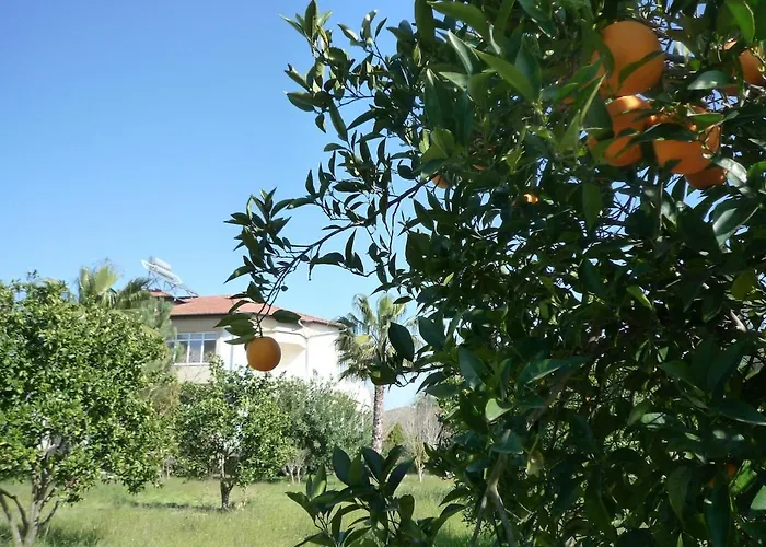 Malikane Residence,6 Bed Detached * Ortaca (Mugla)